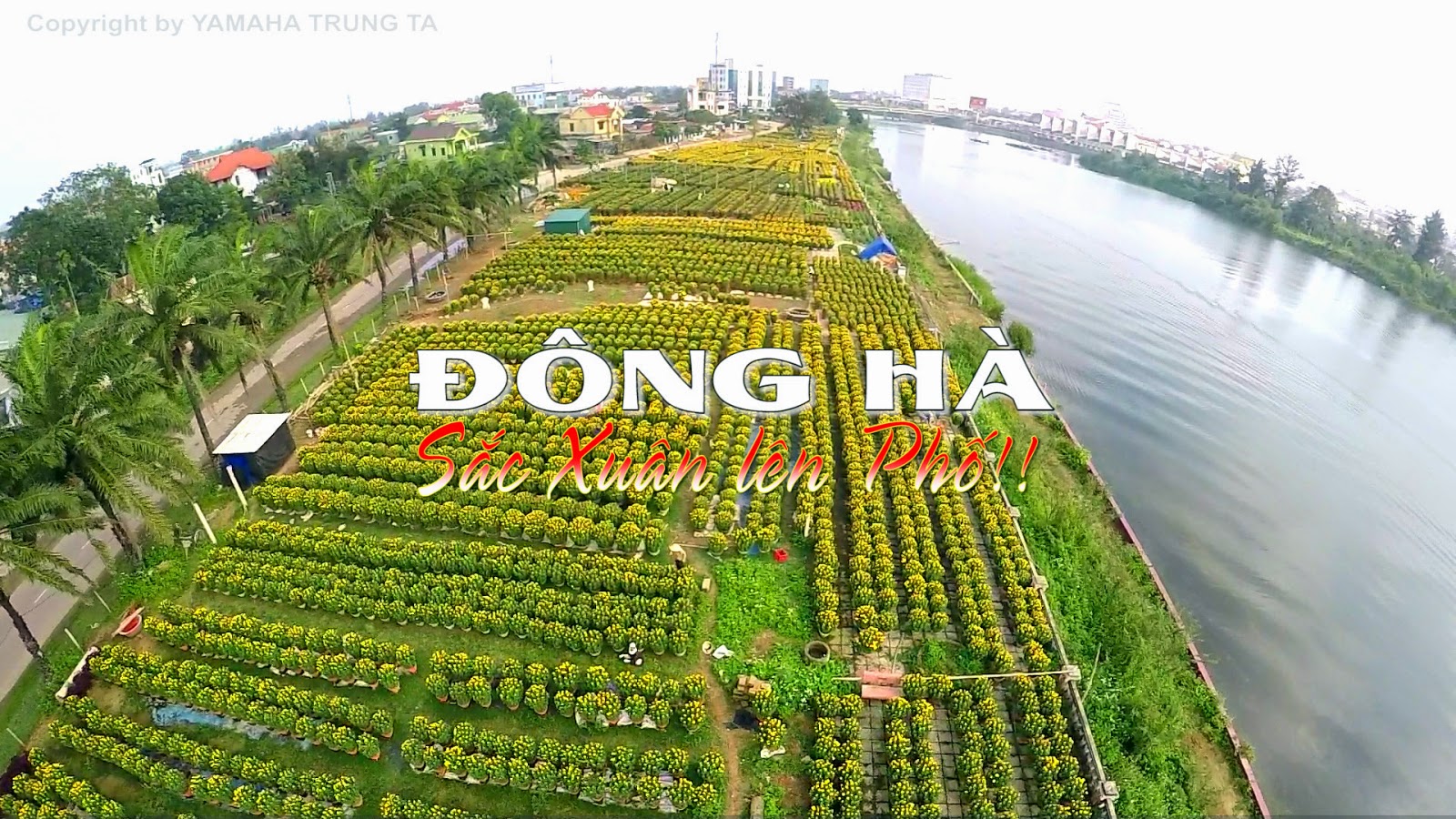 video-dong-ha-sac-xuan-len-pho