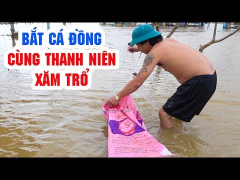 Bắt cá đồng dễ như nhặt rác cùng Thanh niên xăm trổ 😂