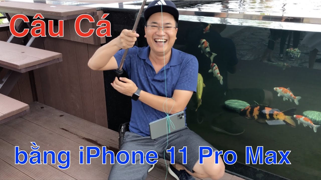 Câu Cá Koi bằng iPhone 11 Pro Max
