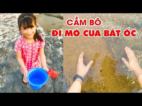 Dân chơi cầm Bô đi Mò Cua Bắt Ốc và phát hiện một chỗ Ốc xúc mãi không hết!