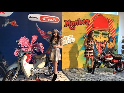 LIVE Cận cảnh Honda Super Cub 125cc và Monkey