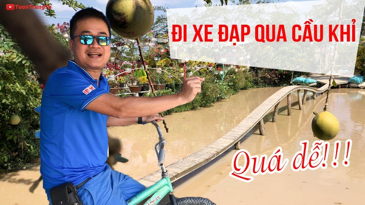 Thử thách Đi Xe Đạp Qua Cầu Khỉ và cái kết 😂